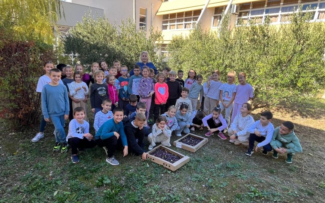 1.A I 2.A U BERBI MASLINA