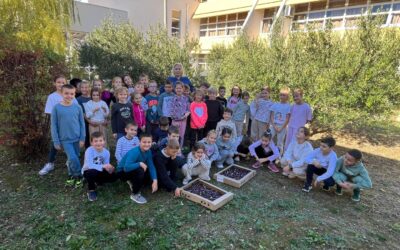 1.A I 2.A U BERBI MASLINA